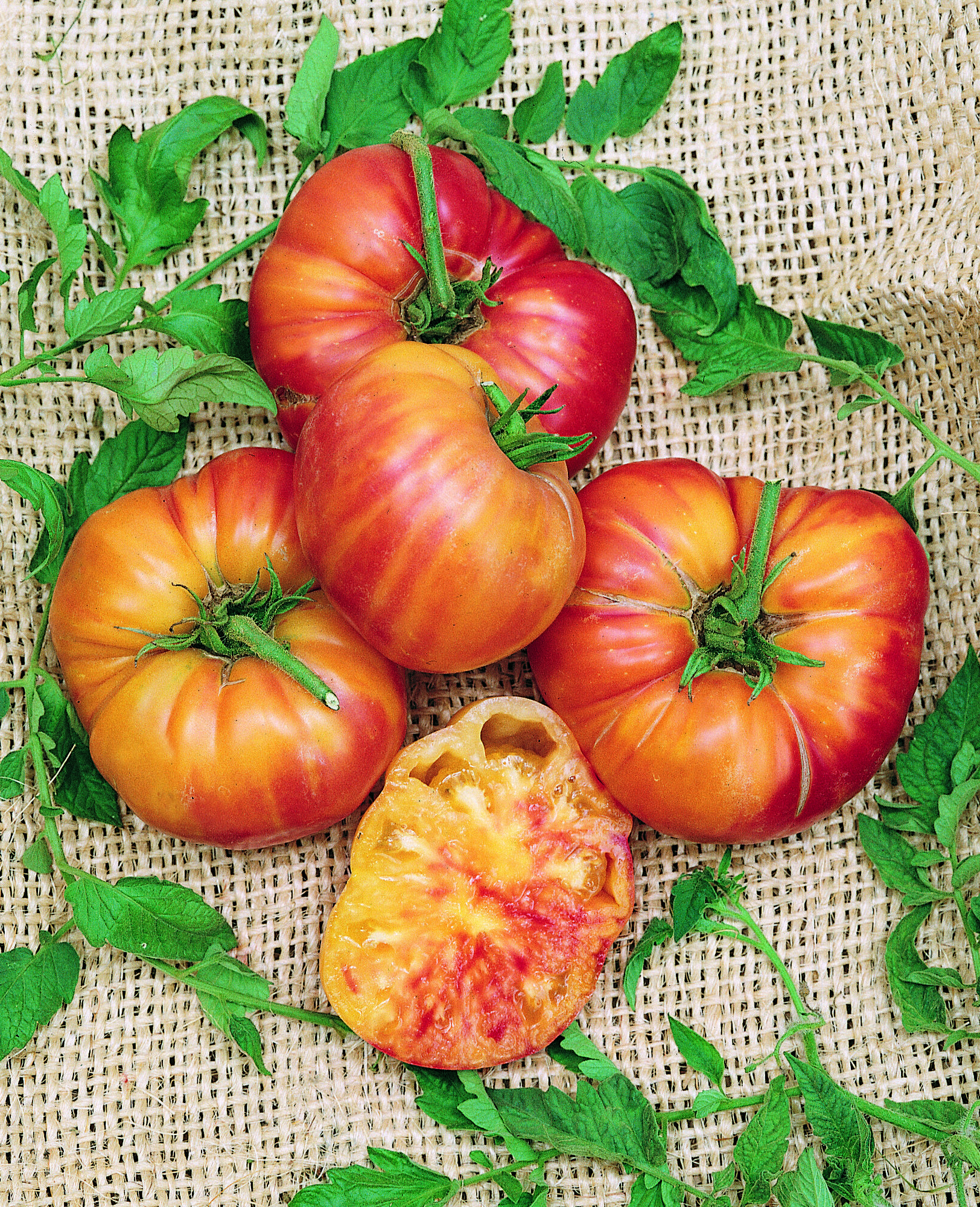 Pineapple Tomato